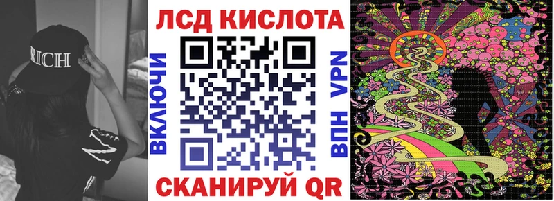 купить   Губкин  Наркотические марки 1500мкг 