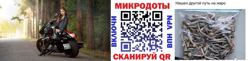 купить   Губкин  Галлюциногенные грибы MAGIC MUSHROOMS 
